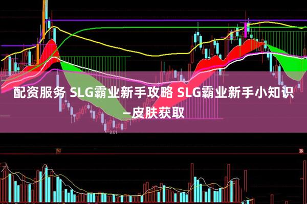配资服务 SLG霸业新手攻略 SLG霸业新手小知识—皮肤获取