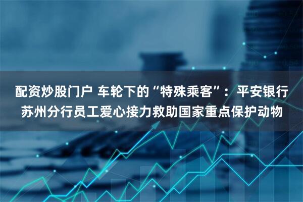 配资炒股门户 车轮下的“特殊乘客”：平安银行苏州分行员工爱心接力救助国家重点保护动物